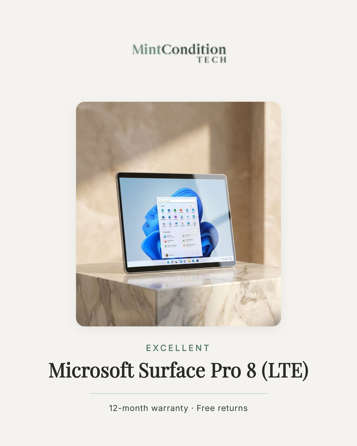 Platinum / 256GB / 8GB