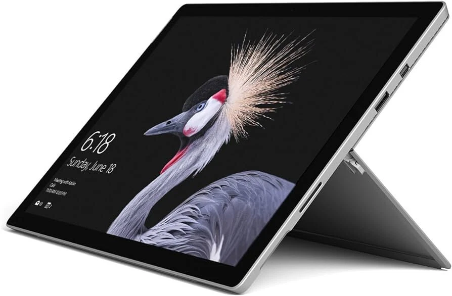 Platinum / 256GB / 8GB